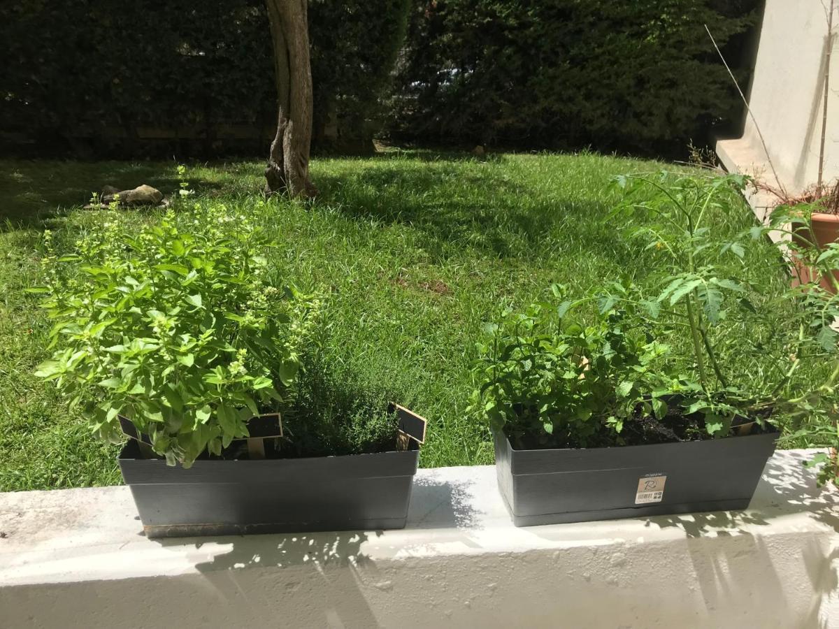 Appartement Exceptionnel Rez-de-jardin Centre Cannes